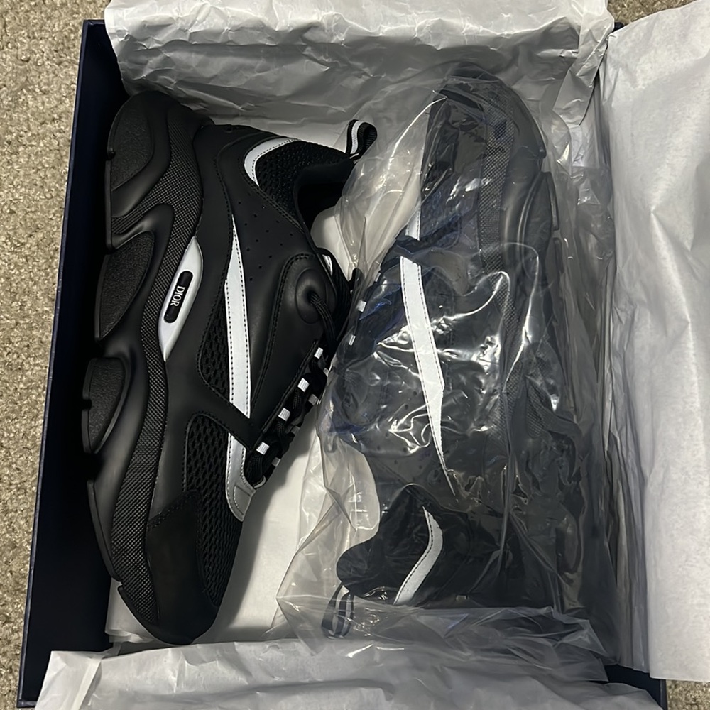 Dior B22